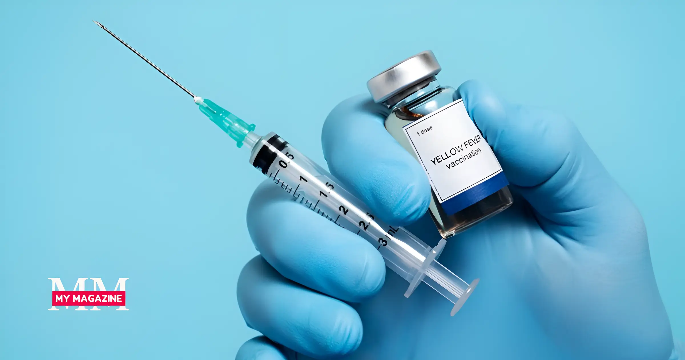 new flu strain 2025