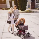 9 Best Coin Scanner Apps Free for Coin Value