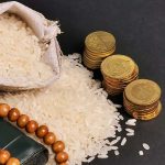 Gimkit Host Ultimate Guide 2026 | Positive Insights Revealed