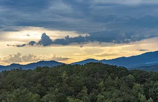 The Most Talked-About Experiences in Pigeon Forge Right Now