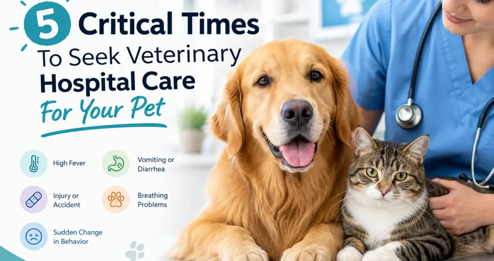 5 Critical Times To Seek Veterinary Hospital Care For Your Pet